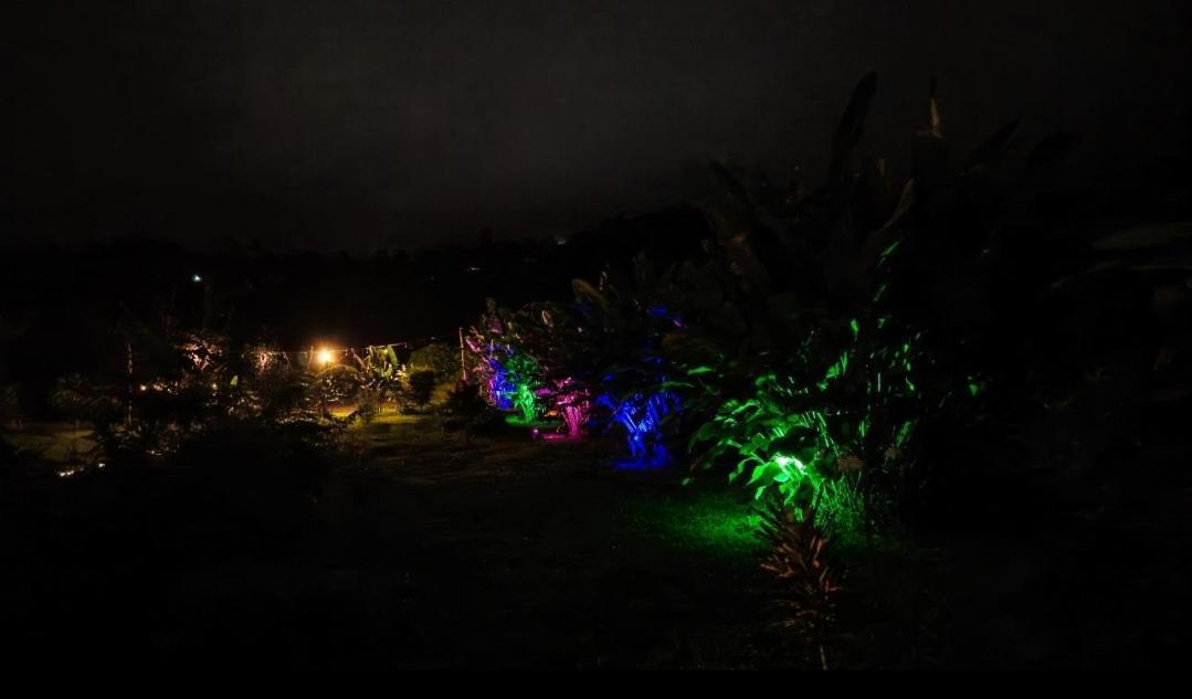 Villa Flora Glamping De Abuela La Fortuna Exterior foto